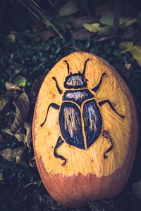 Crafts from Pumpkins