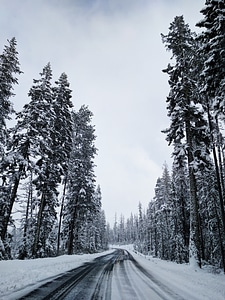 Winter Road Landscape photo