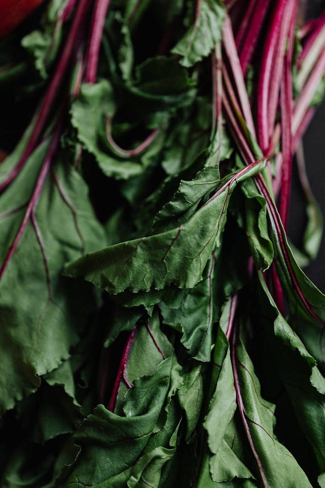 Beet greens detail