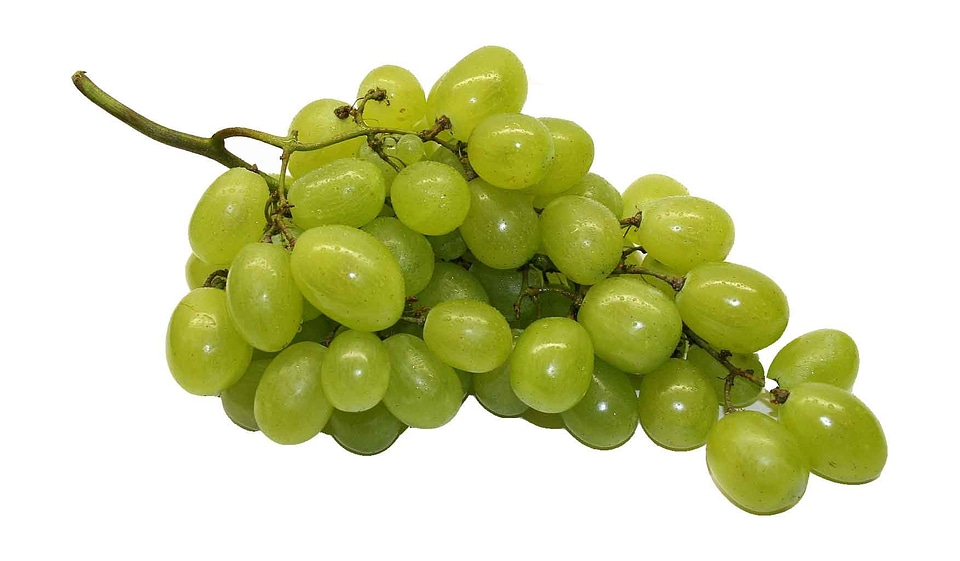 Healthy green food