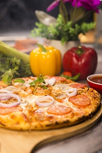 Simple pizza with onions and tomatoes photo