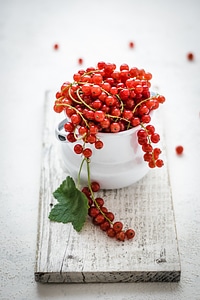 Red currant photo