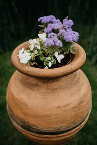 Handmade terracotta flowerpot photo
