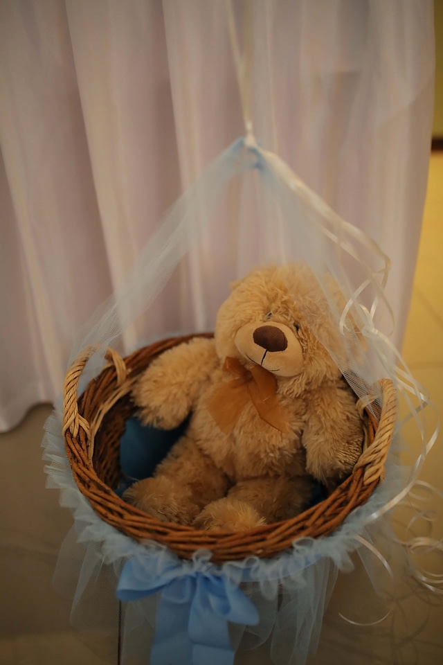 Teddy Bear Toy wicker basket nostalgia