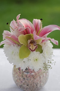 Lily pinkish bouquet photo