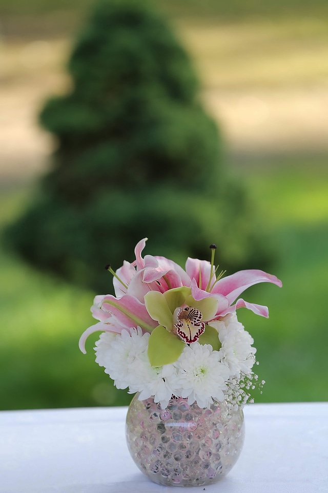 Orchid bouquet flowers