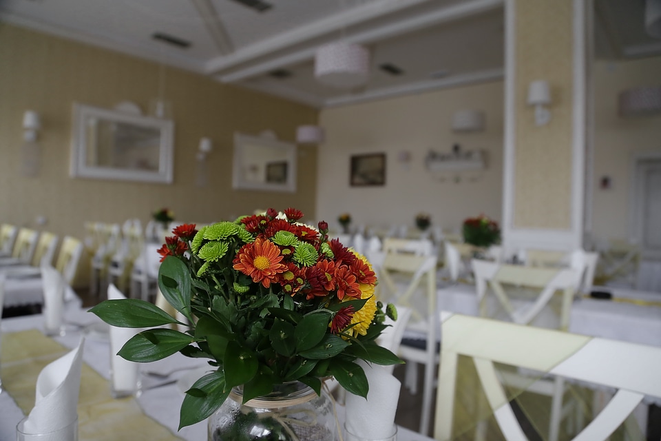 Cafeteria empty bouquet photo