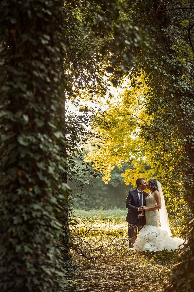 Ivy forest hiding