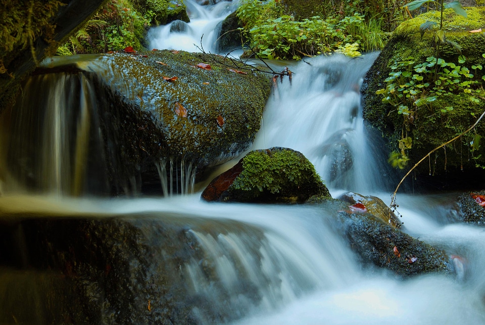 Autumn moss stones