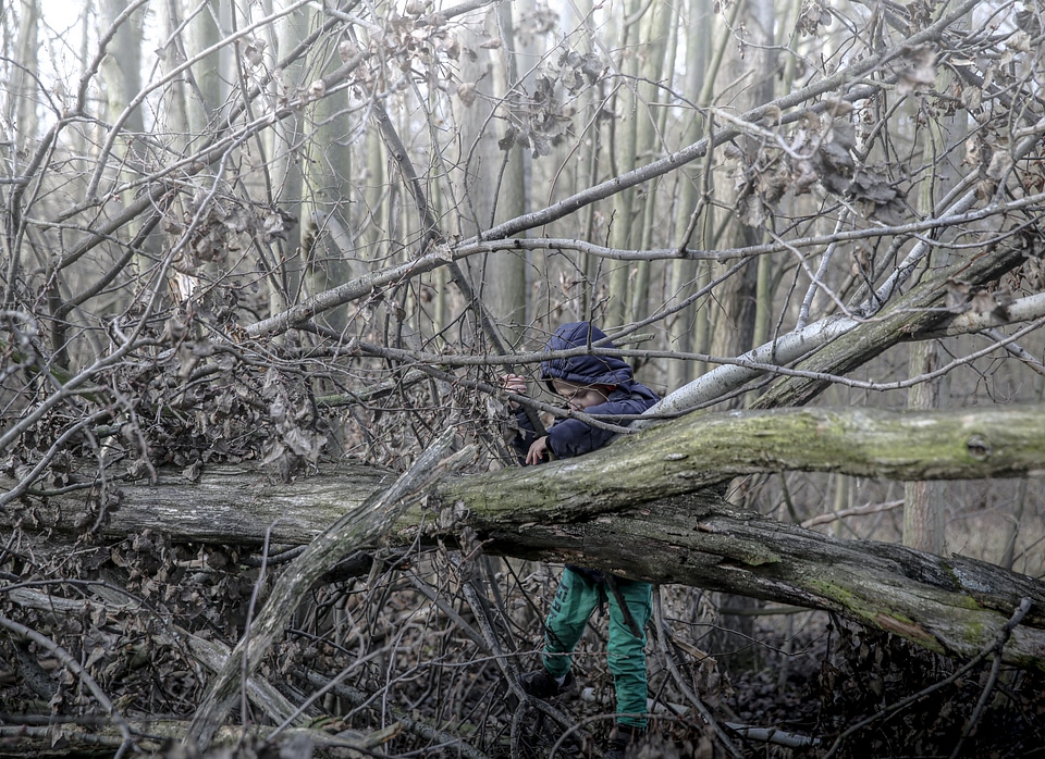Boy Between the Branches