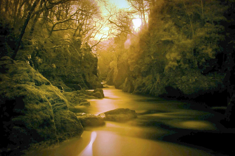 Gold water landscape