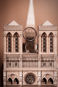 Romantic wedding ring architecture