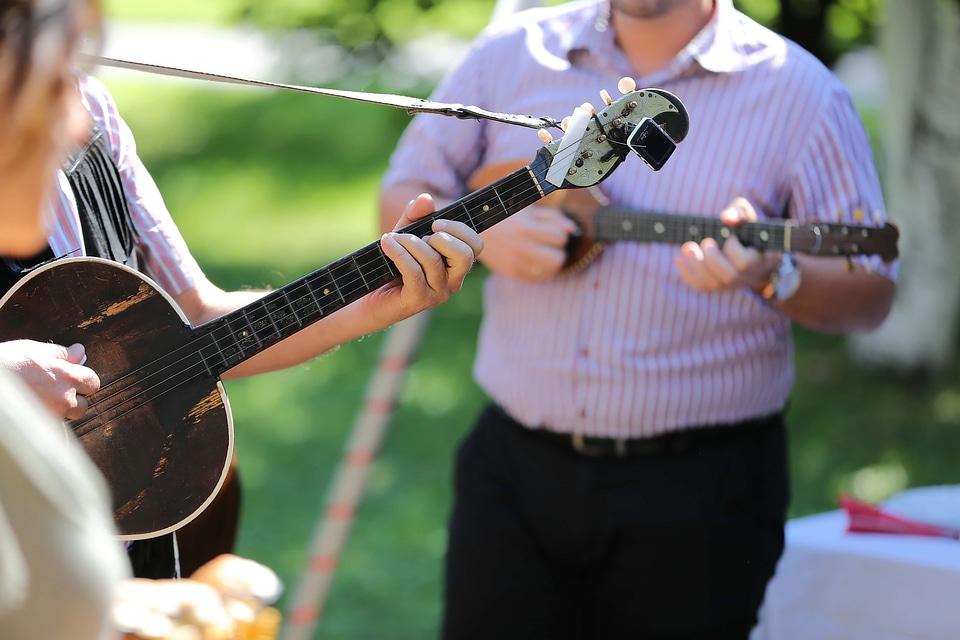 Guitar guitarist orchestra