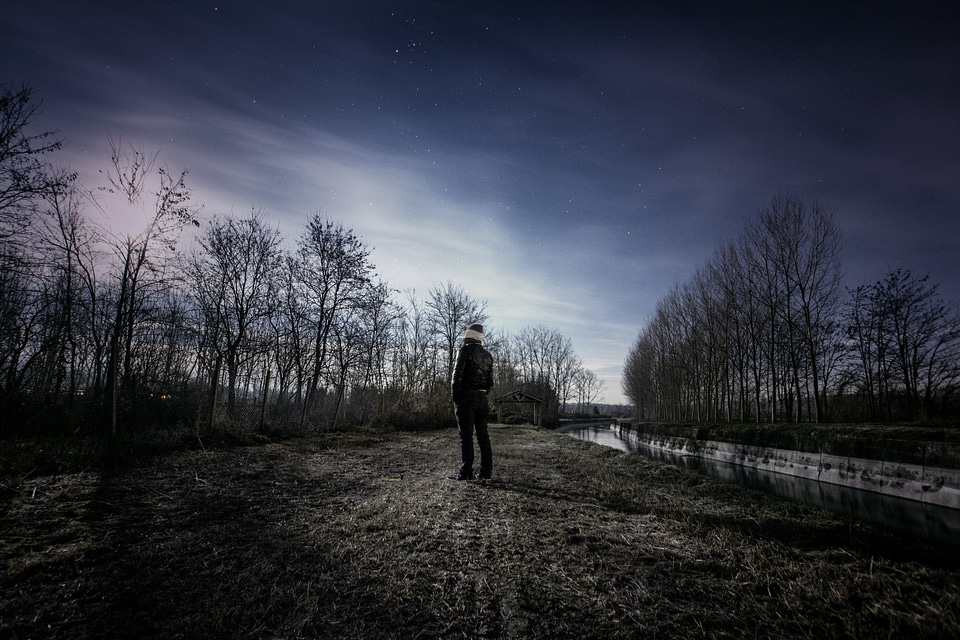 Stars observing watching