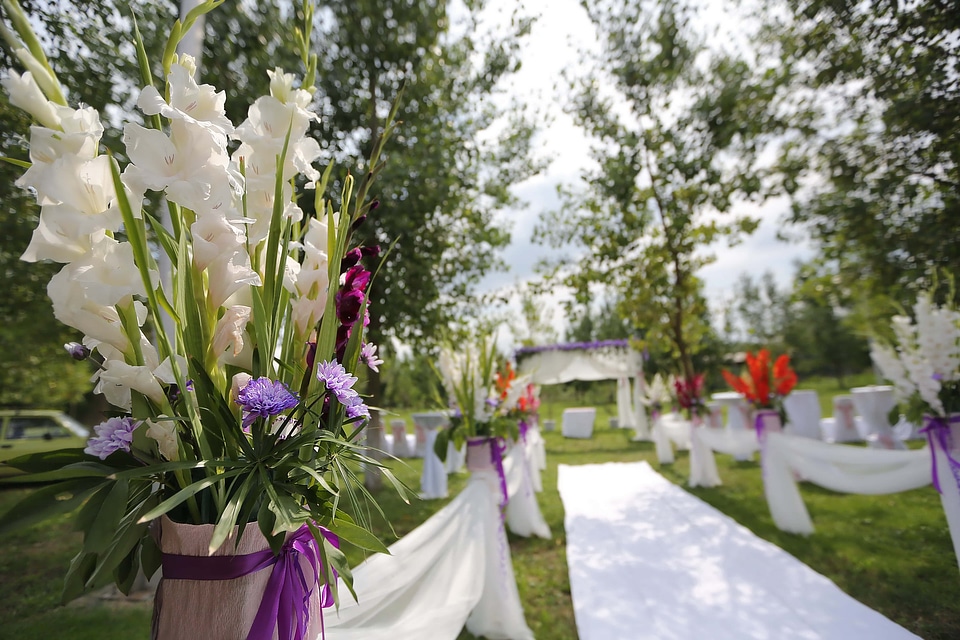 Wedding Venue garden summer season