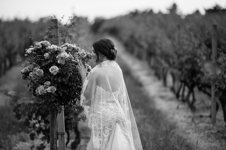 Bride nostalgia vineyard