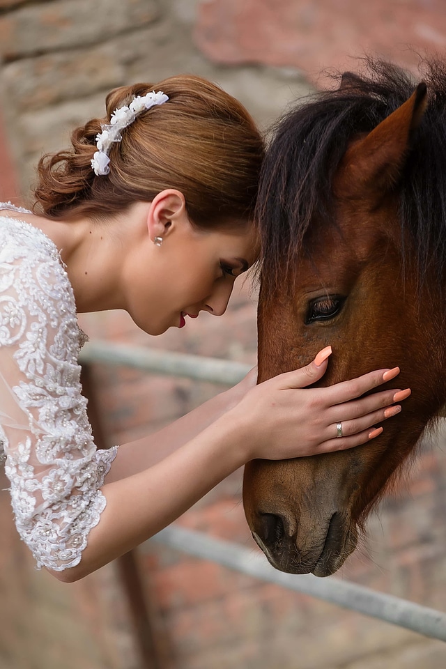 Pretty Girl head horse