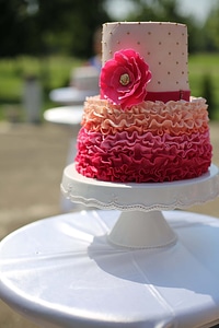 Reddish cake pink photo