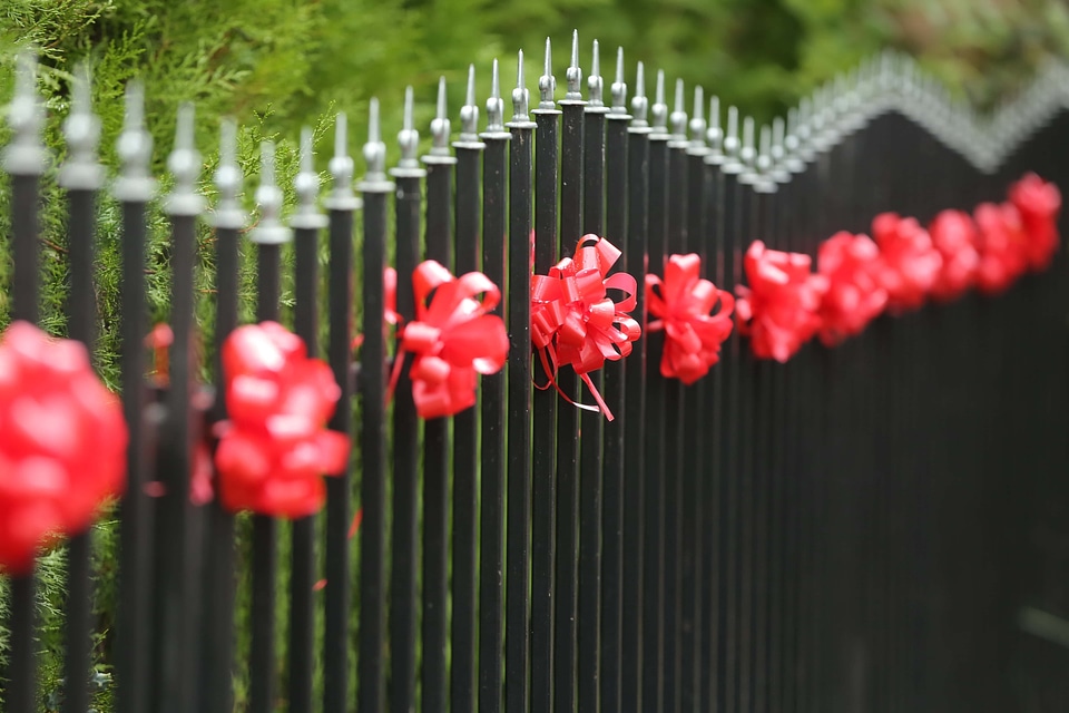 Fence decorative fence line