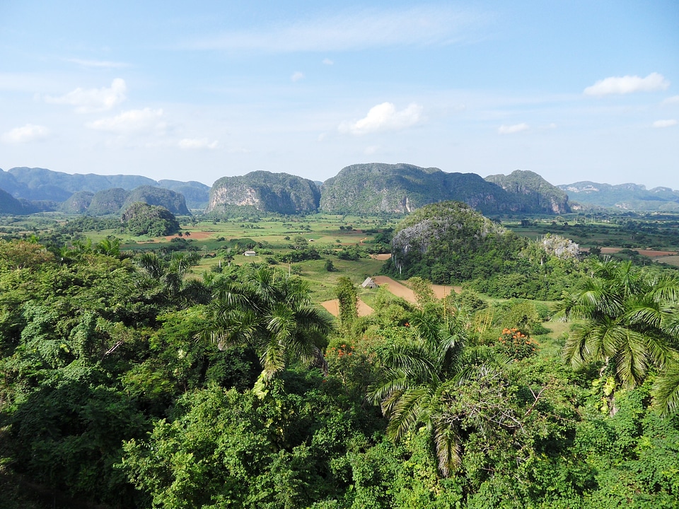 Landscape nature cuba