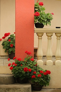 Flowerpot fence front porch photo