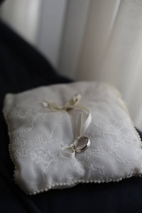 Golden Shine pillow wedding ring photo