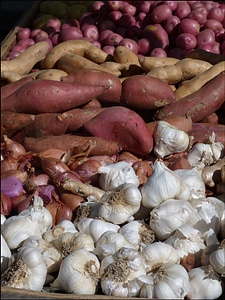 Vegetable food healthy
