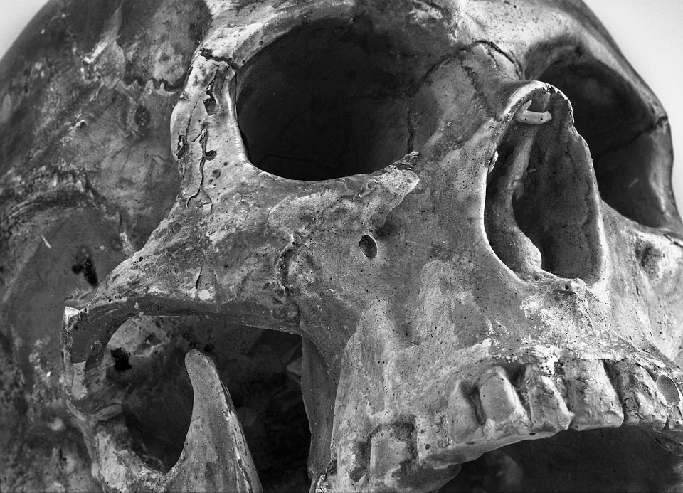 Skull color teeth