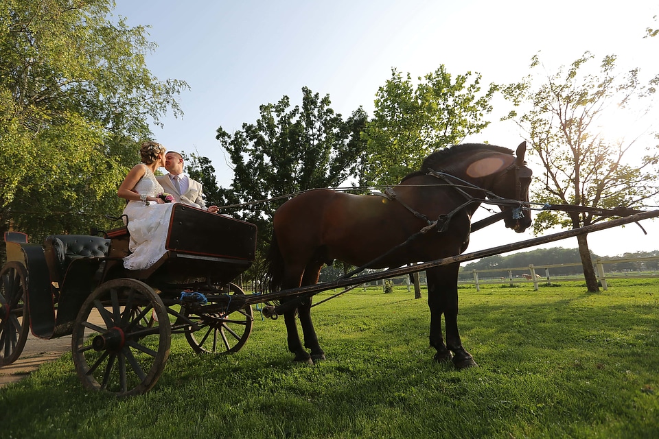 Carriage bride groom photo