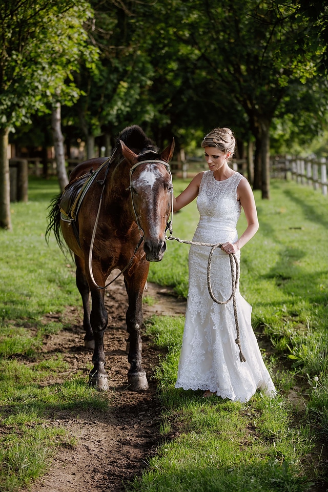 Bride pretty girl horses