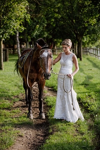 Bride pretty girl horses photo