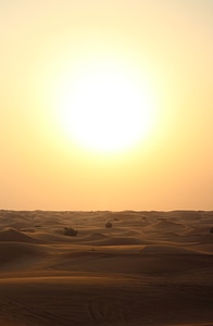 Desert Evening Glowing by the Big Sun photo