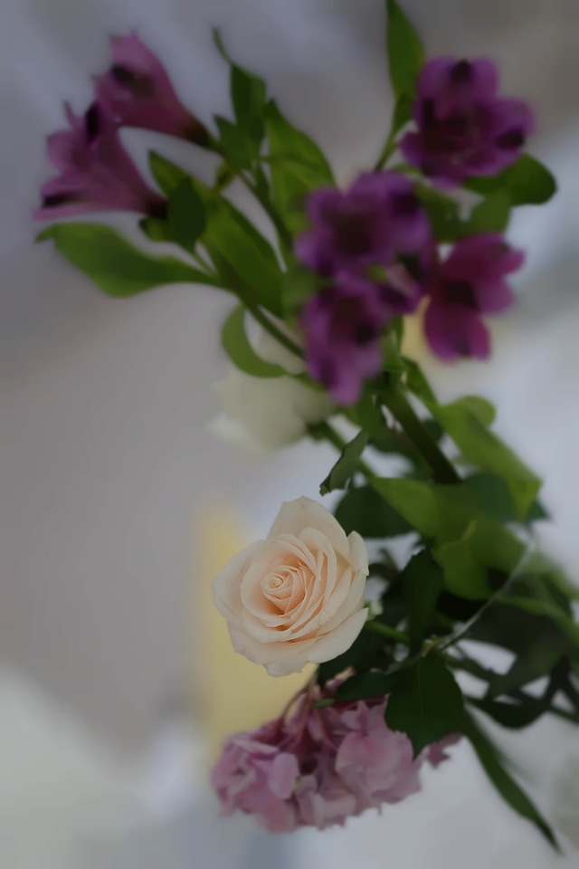 Vase white flower blurry