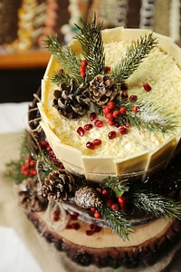 Christmas cake dessert