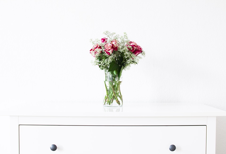 Red Roses Bouquet on White Background
