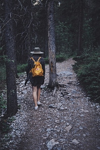 Hiker Woman with Backpack Walking on Path Forest photo
