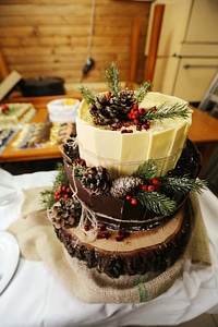 Decorative cakes christmas