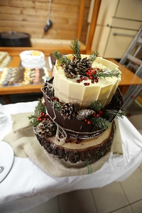 Christmas cake baked goods photo