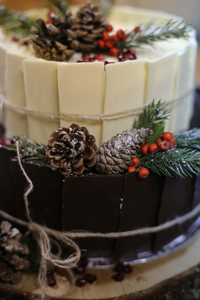 Chocolate Cake decorative conifers