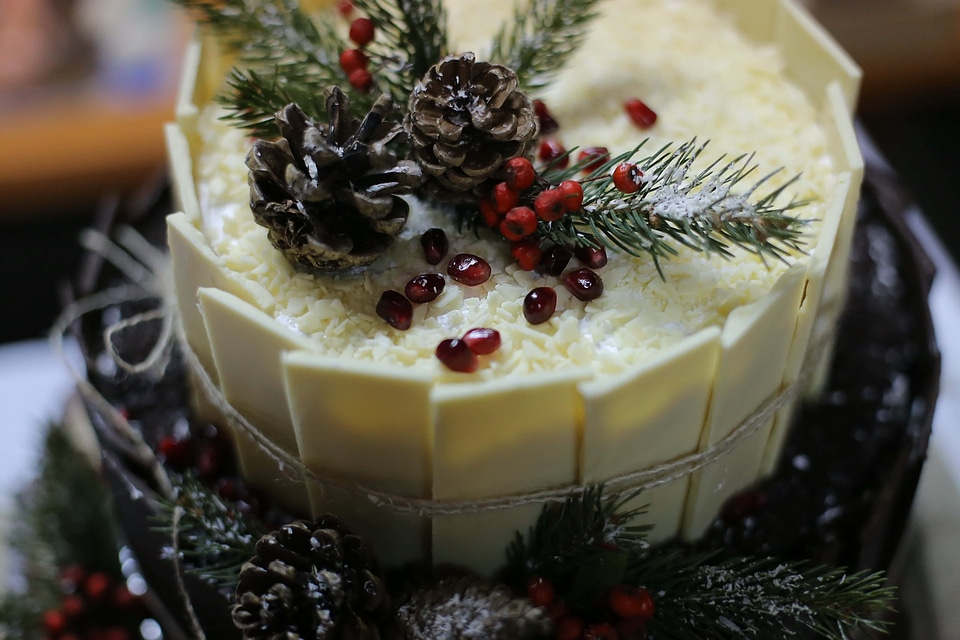 Holiday cake christmas