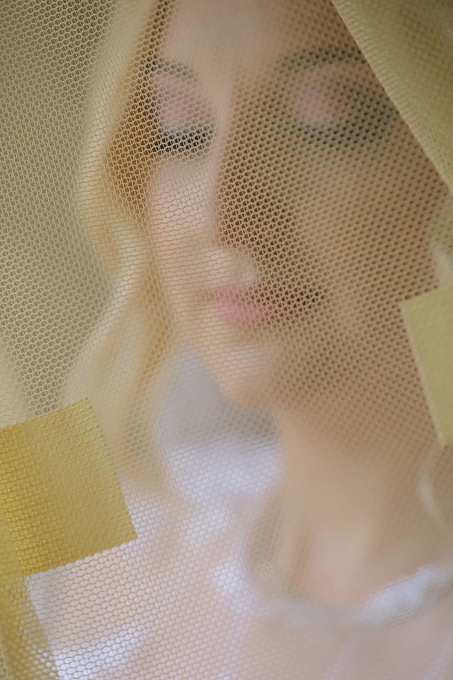 Bride veil face