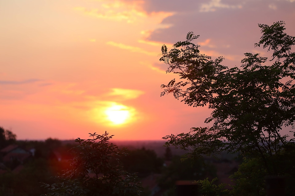 Panorama foggy sunrise