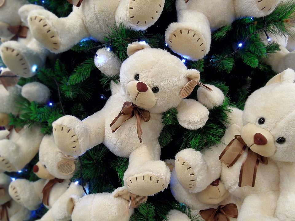 Bears tree animal