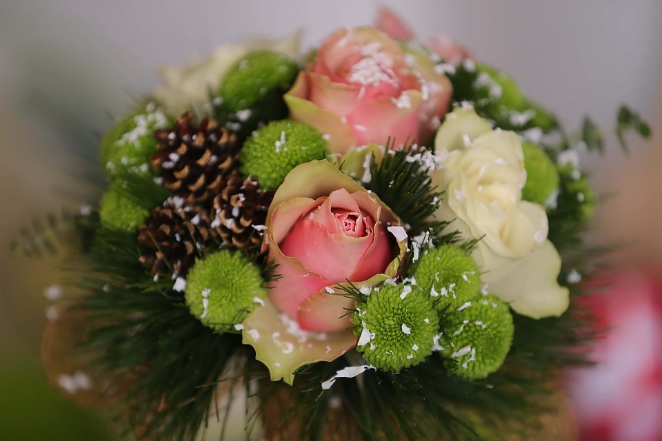 Roses snowflakes conifers