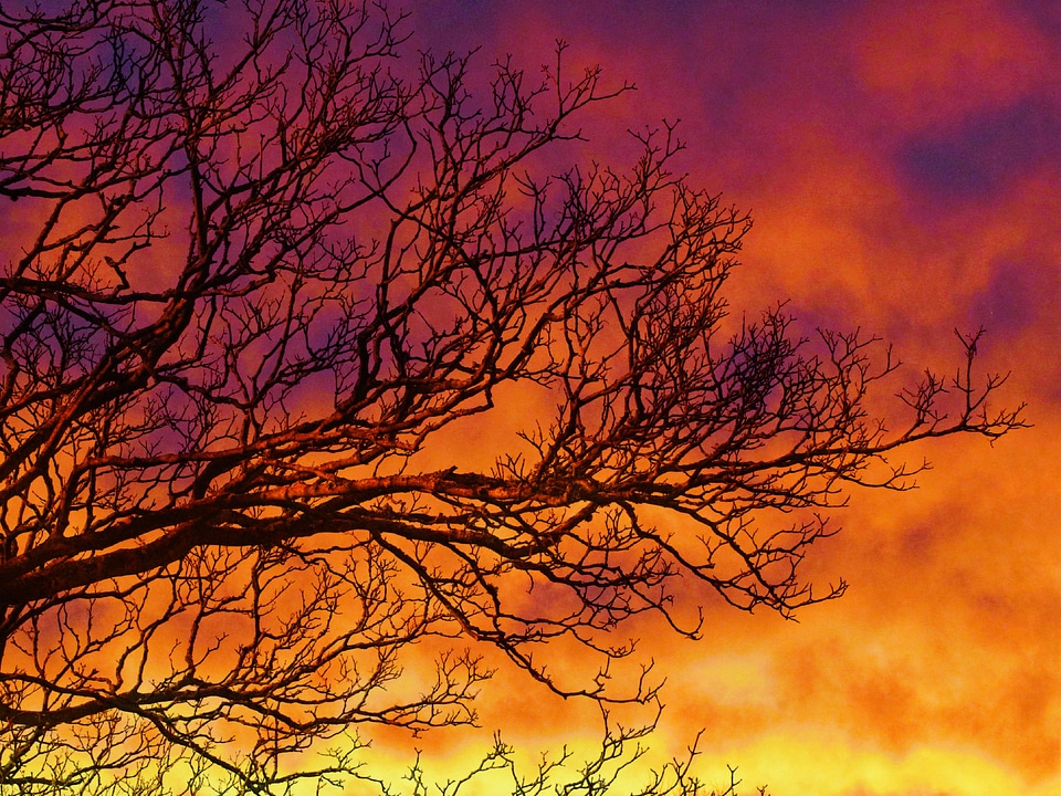 Sky clouds outdoors