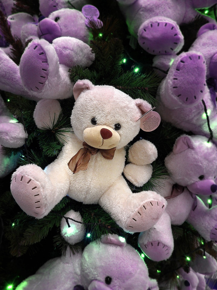 Bears tree animal