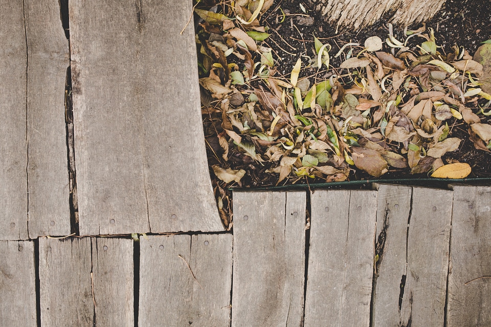 Fallen Dry Leaves next to a Wooden Path