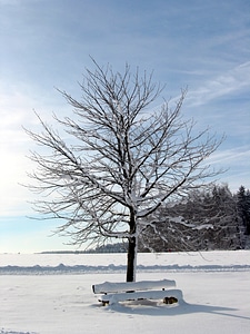 Sun landscape winter mood
