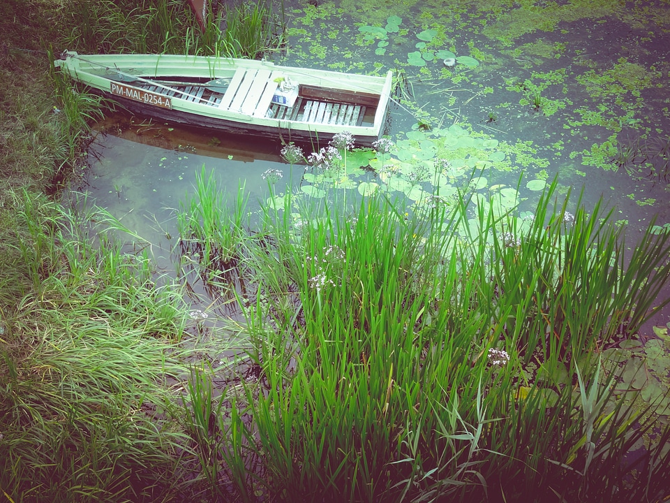 Wooden Rowing Boat on Wetlands