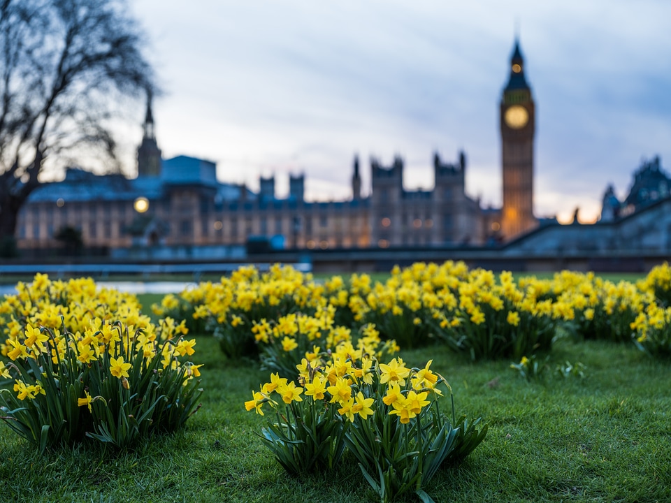 Spring Sunny Evening in Westminster, London